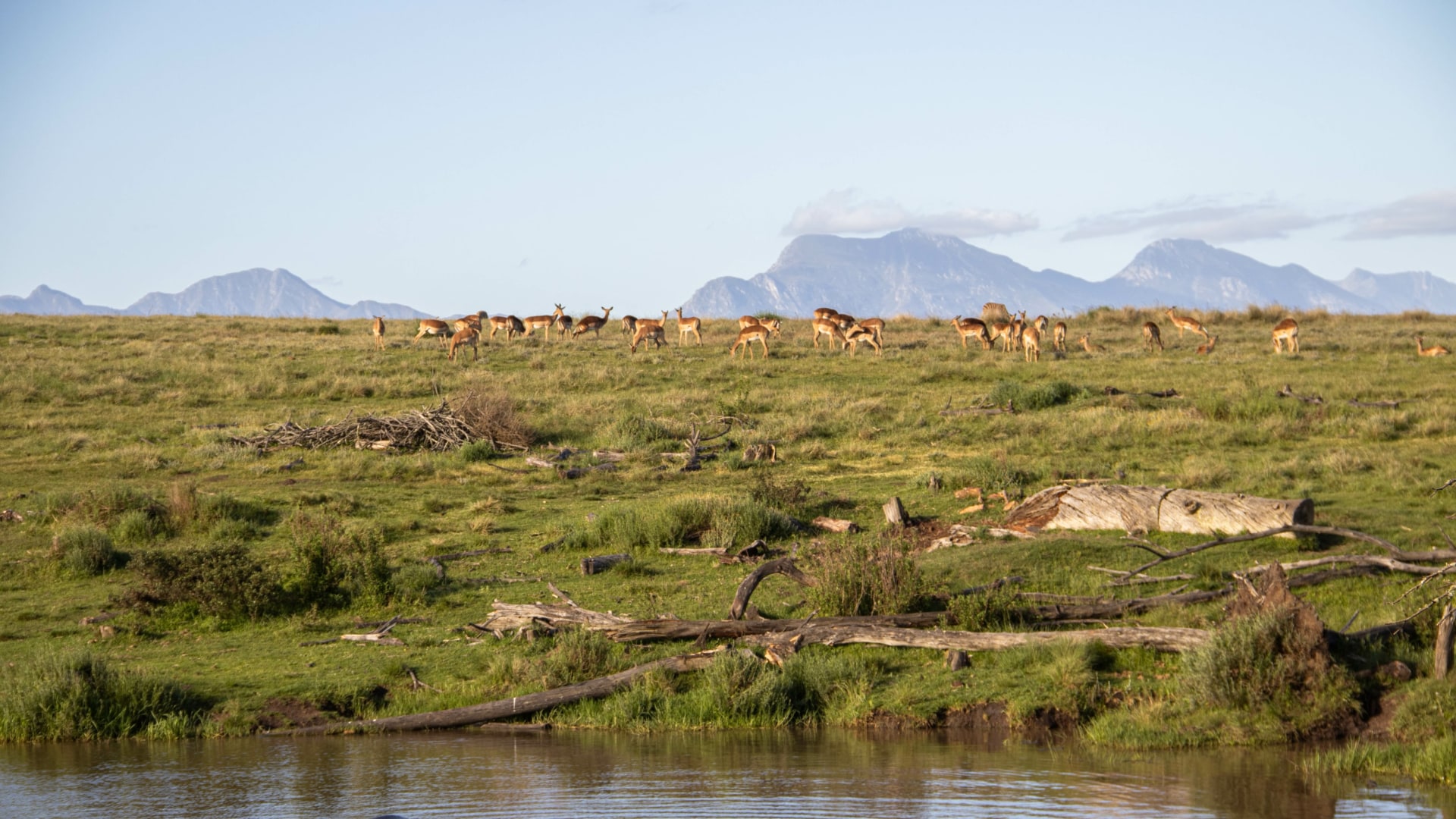 Roadtrip entlang der Garden Route